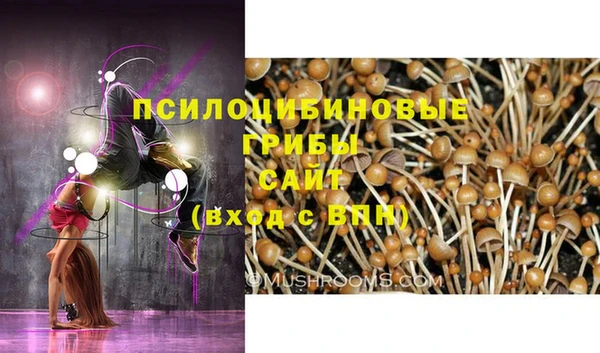 ALPHA PVP Богданович