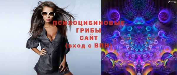 ALPHA PVP Богданович