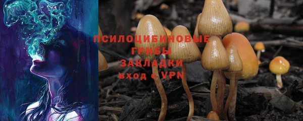не бодяженный Беломорск
